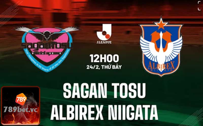 Soi Kèo Trận Đấu: Sagan Tosu Vs Albirex